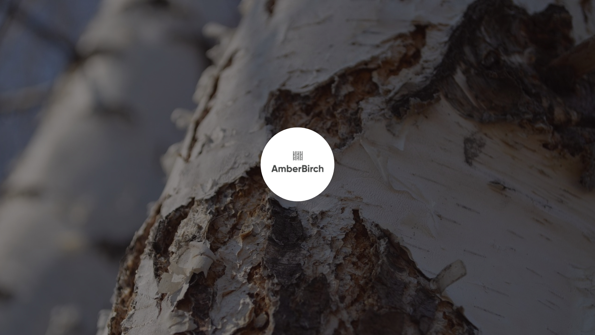 In this picture you can se a close up to a birch and AmberBirch logo on it.